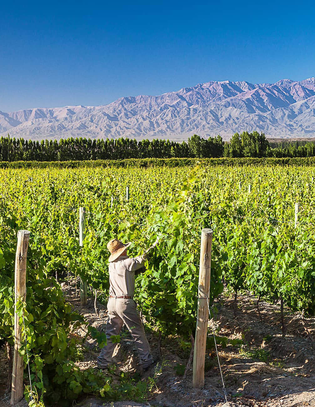 Большой Тур: Вся Аргентина за 14 дней
