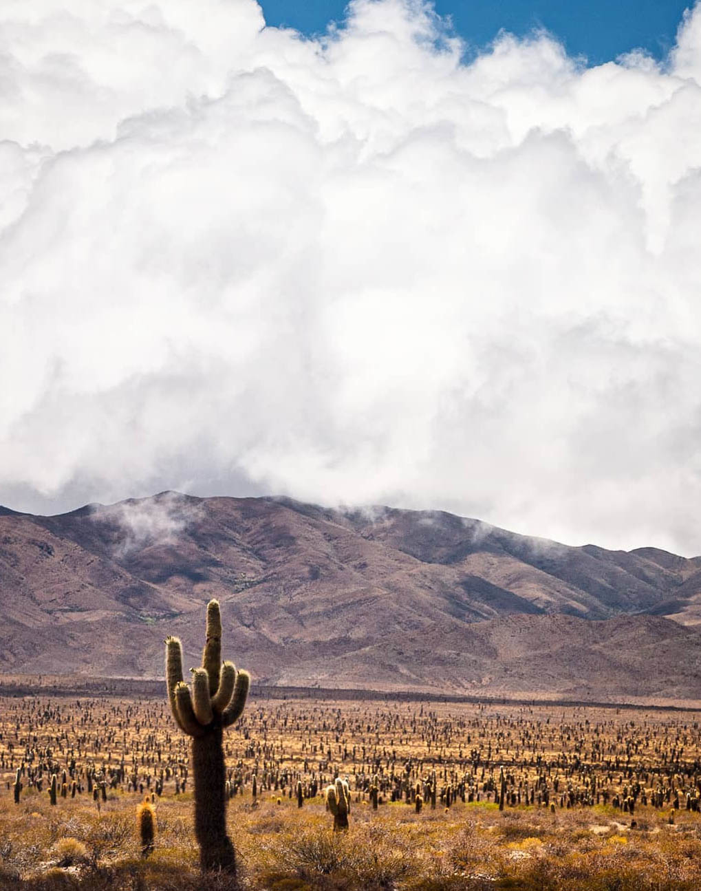 Большой Тур: Вся Аргентина за 14 дней