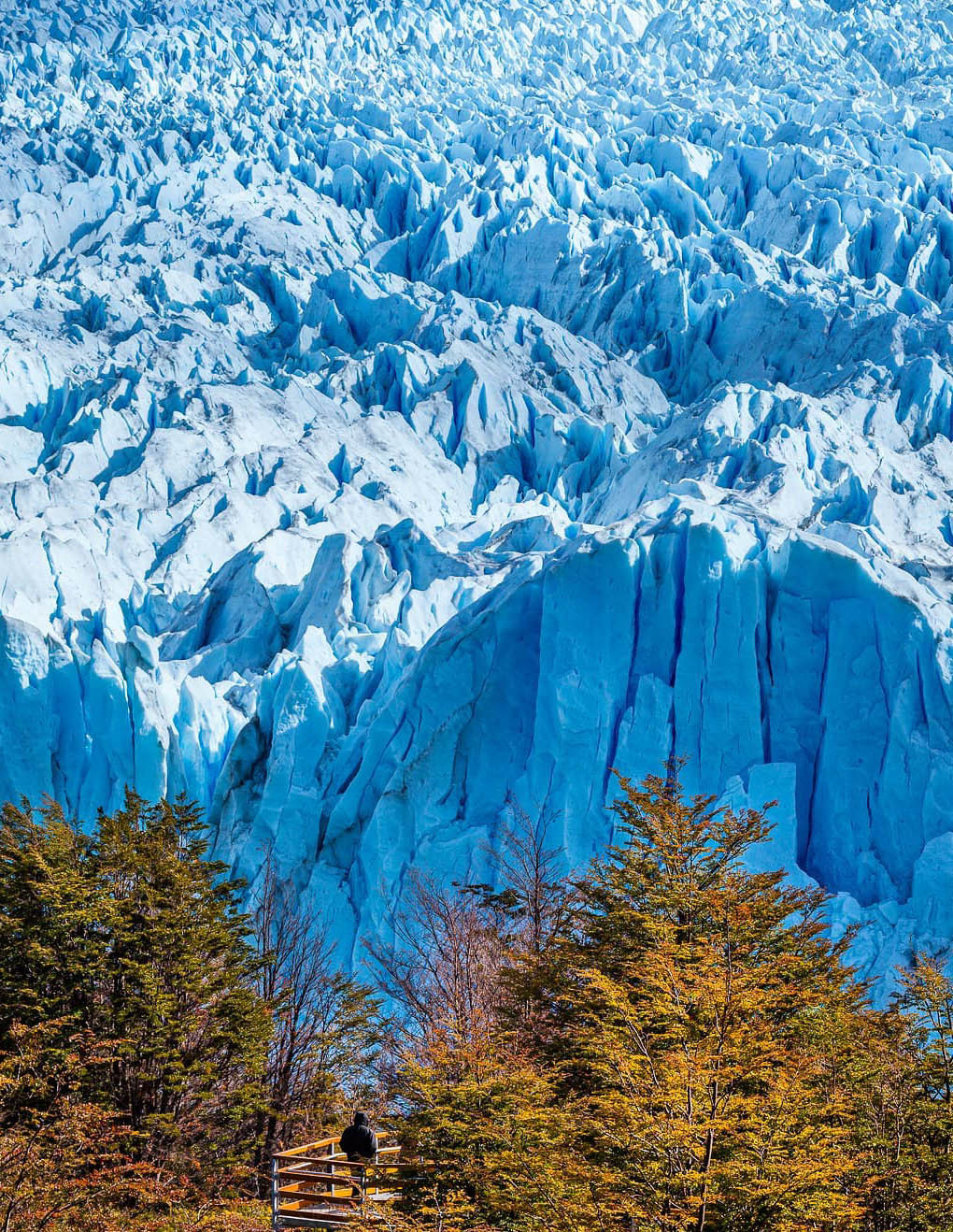 Большой Тур: Вся Аргентина за 14 дней