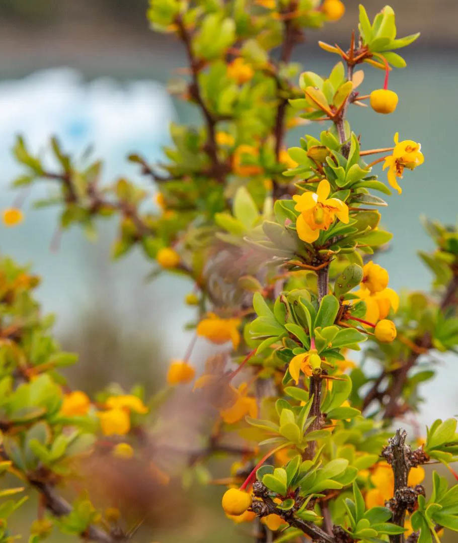 Большой Тур: Вся Аргентина за 14 дней