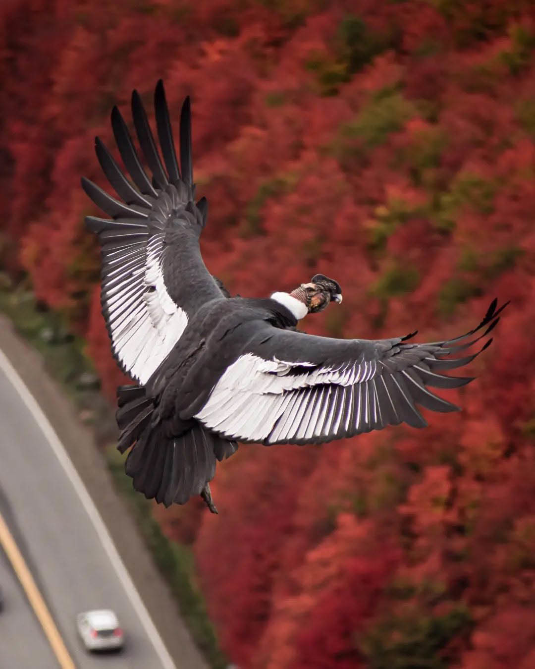 Большой Тур: Вся Аргентина за 14 дней