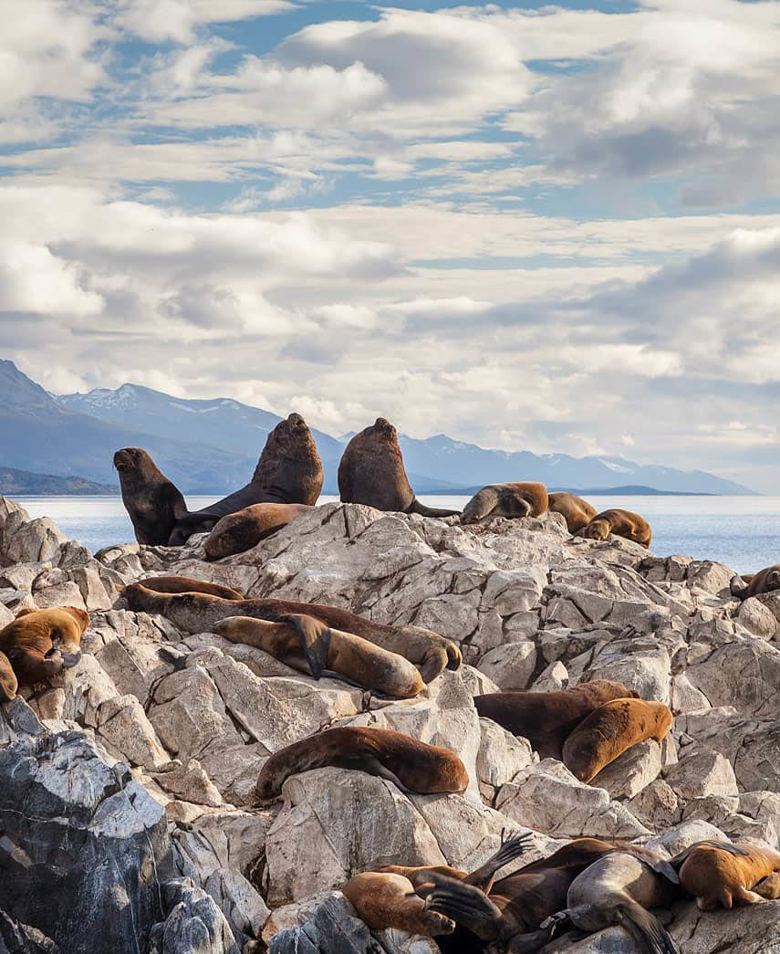 Большой Тур: Вся Аргентина за 14 дней