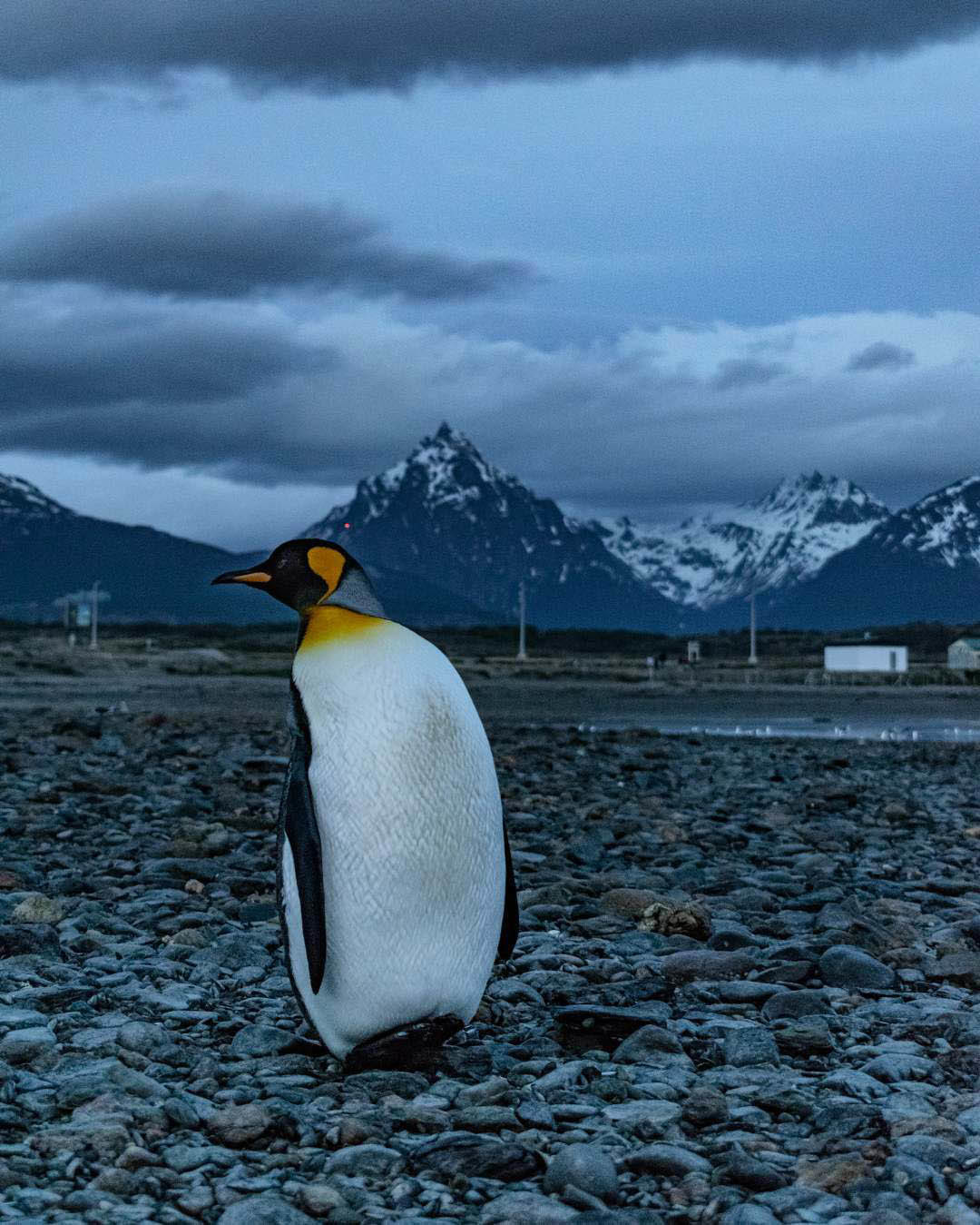 Большой Тур: Вся Аргентина за 14 дней