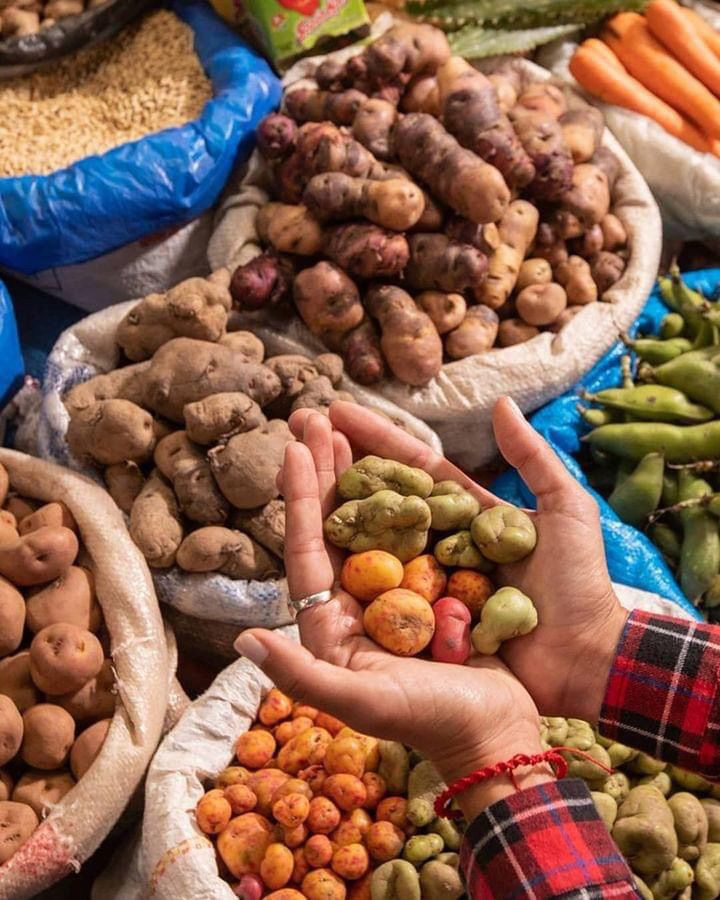 Тур по Аргентине: По следам цивилизации Инков