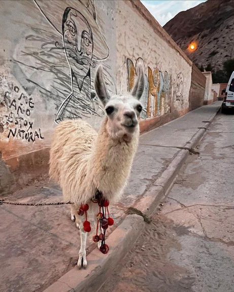 Тур по Аргентине: По следам цивилизации Инков