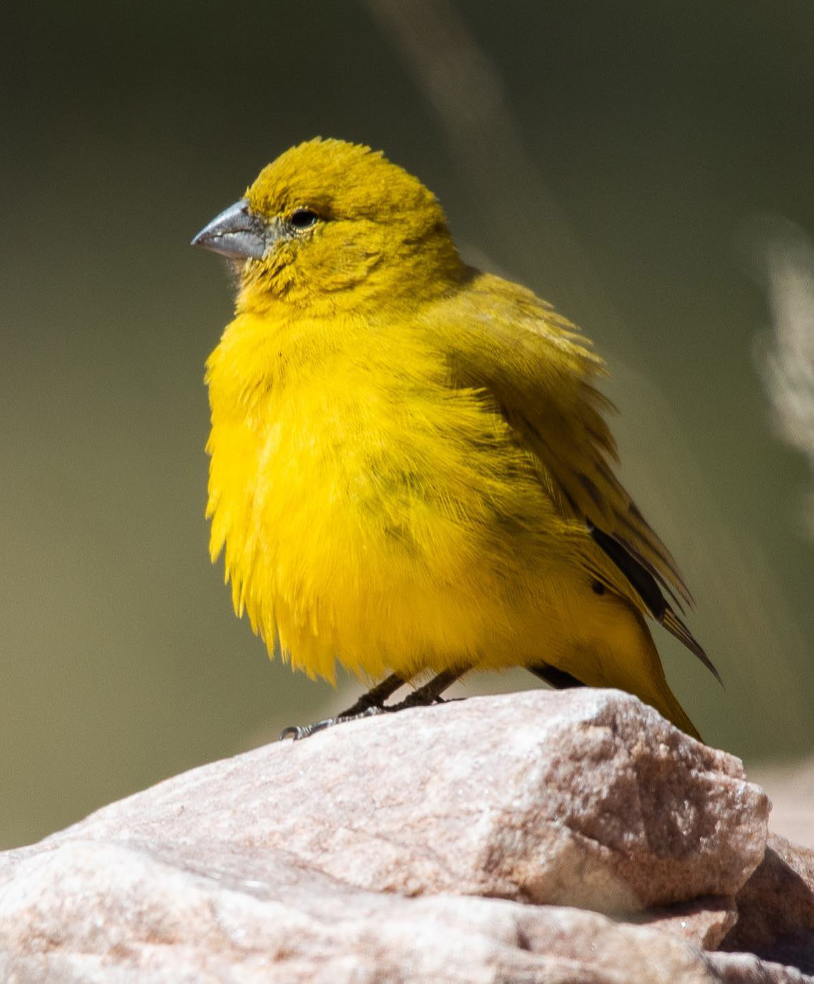 Тур по Аргентине: По следам цивилизации Инков