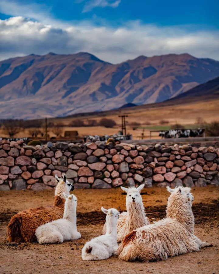 Тур по Аргентине: По следам цивилизации Инков