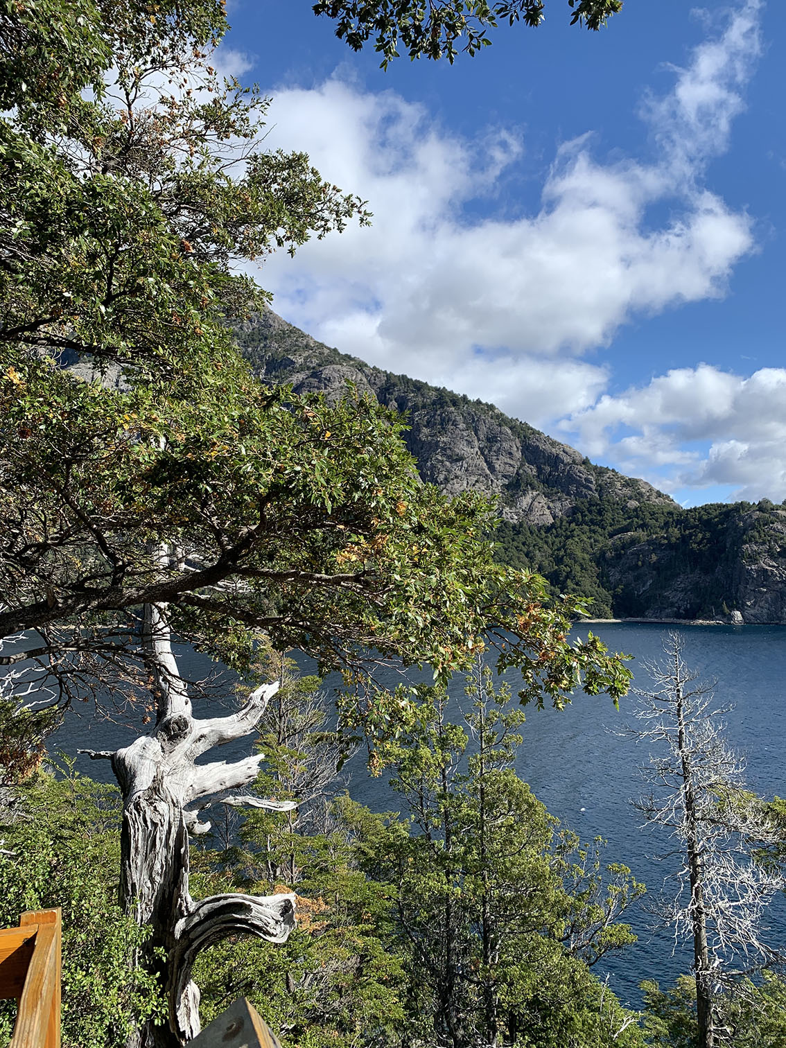 Тур в Барилоче с рейнджером 4х4