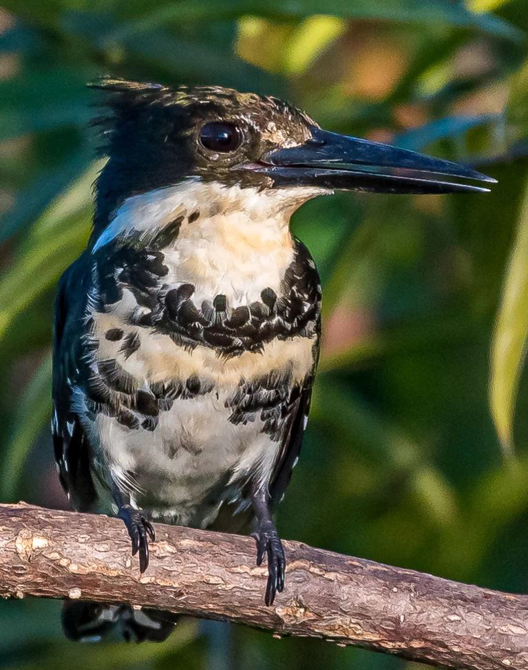 Тур в Барилоче с рейнджером 4х4