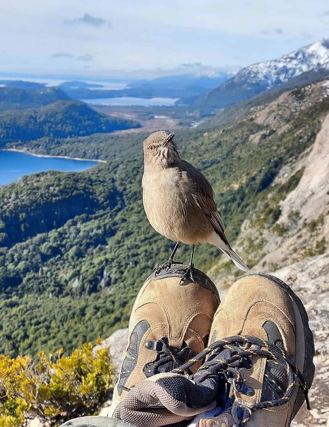 Тур в Барилоче с рейнджером 4х4