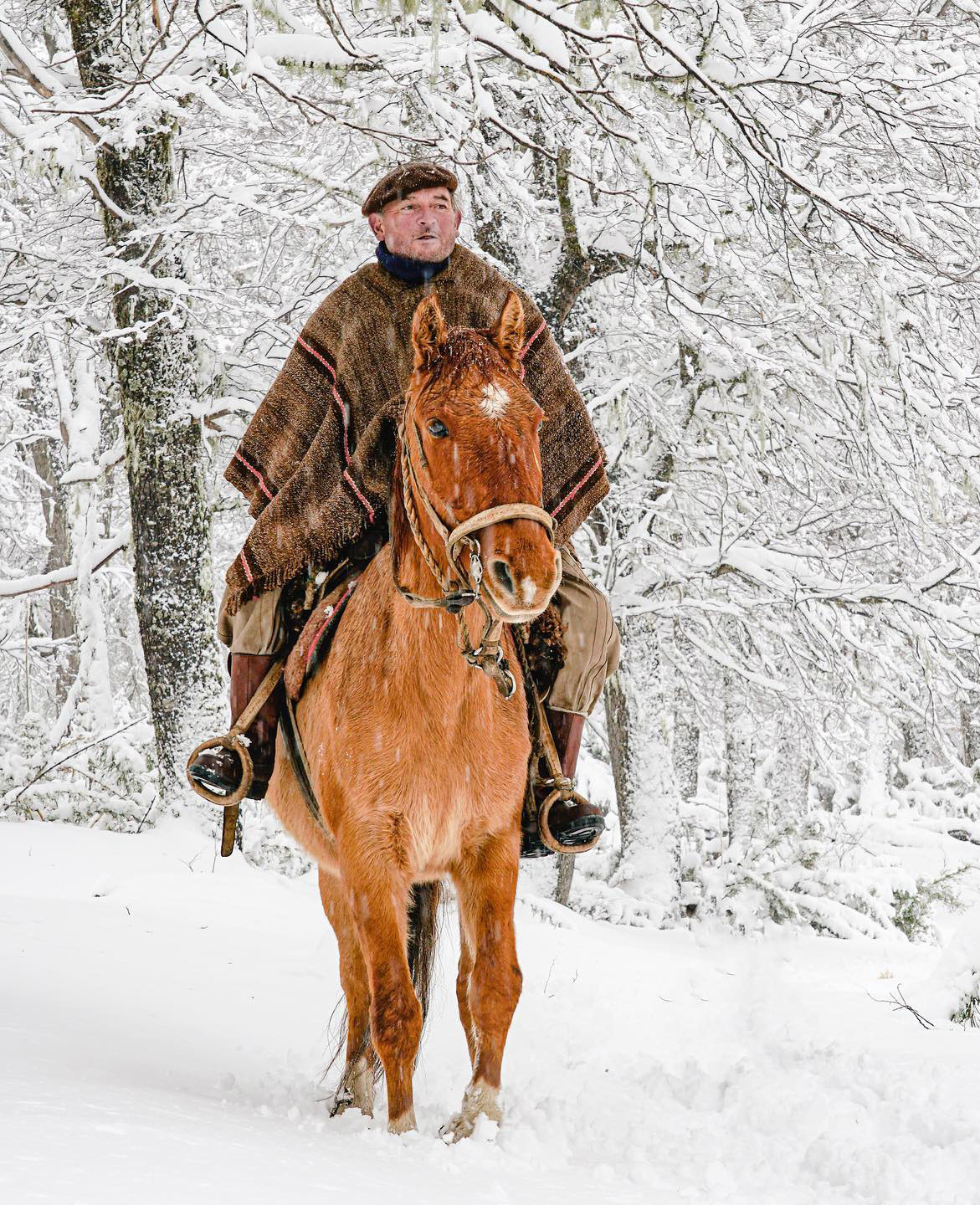 Тур в Барилоче с рейнджером 4х4