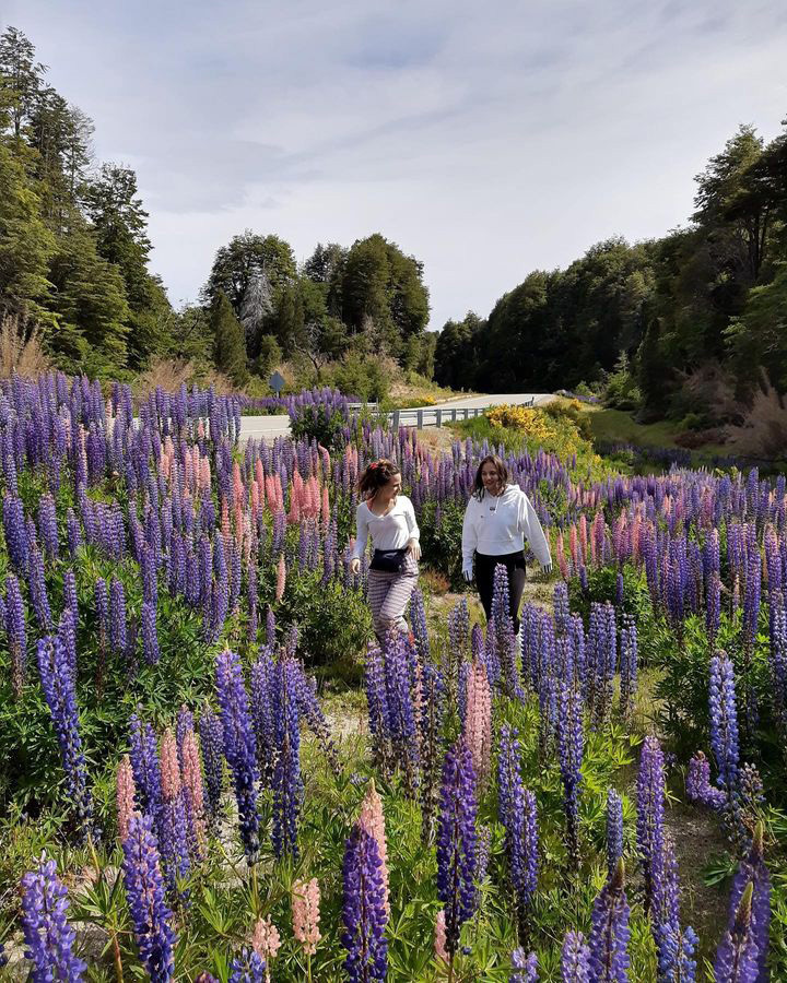 Тур в Барилоче с рейнджером 4х4
