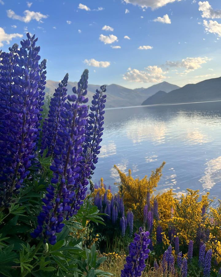 Тур в Барилоче с рейнджером 4х4