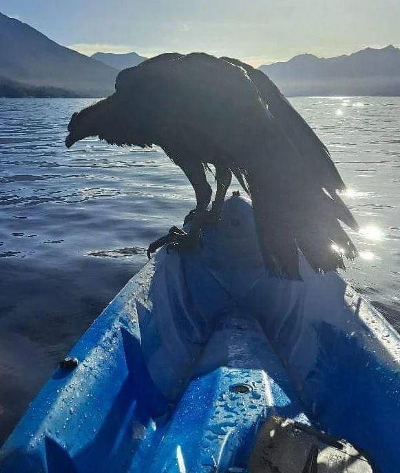 Тур в Барилоче с рейнджером 4х4