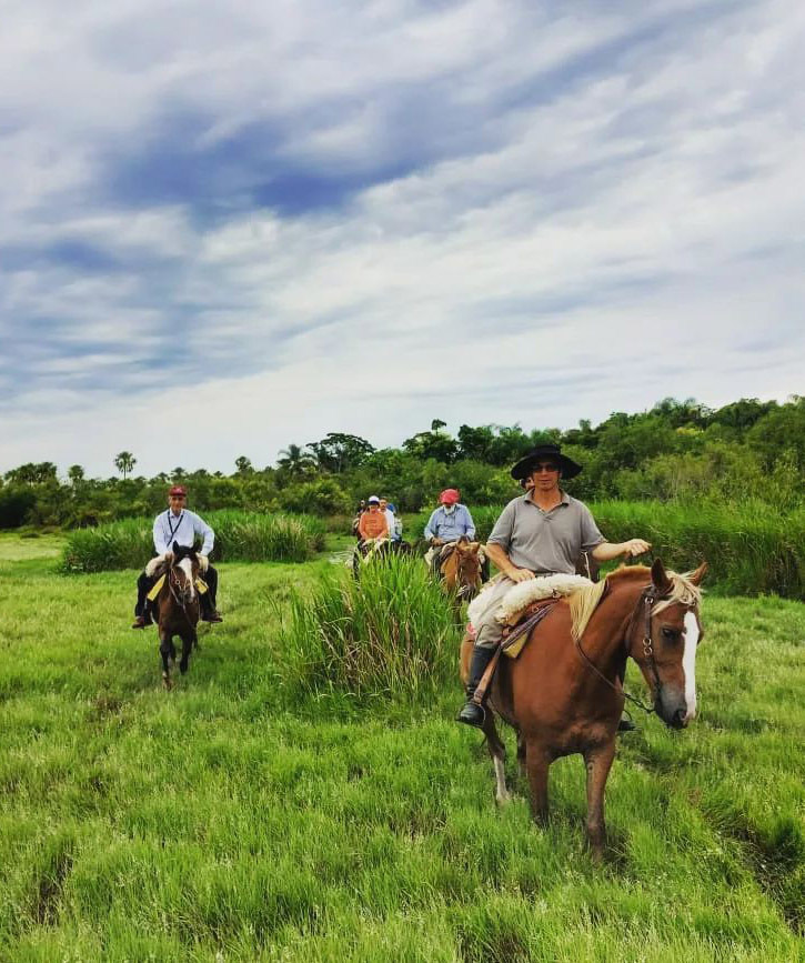 Тропический мир Аргентины: экспедиция к крокодилам, капибарам и боа