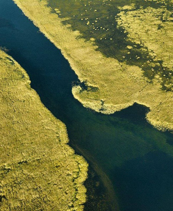 Тропический мир Аргентины: экспедиция к крокодилам, капибарам и боа