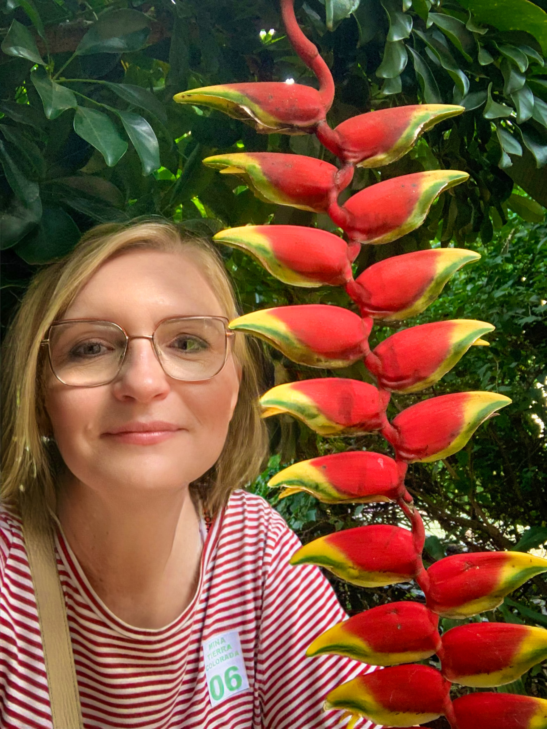 Тур по Аргентине: Тропическая Сельва, Водопады Игуасу и иезуитские миссии