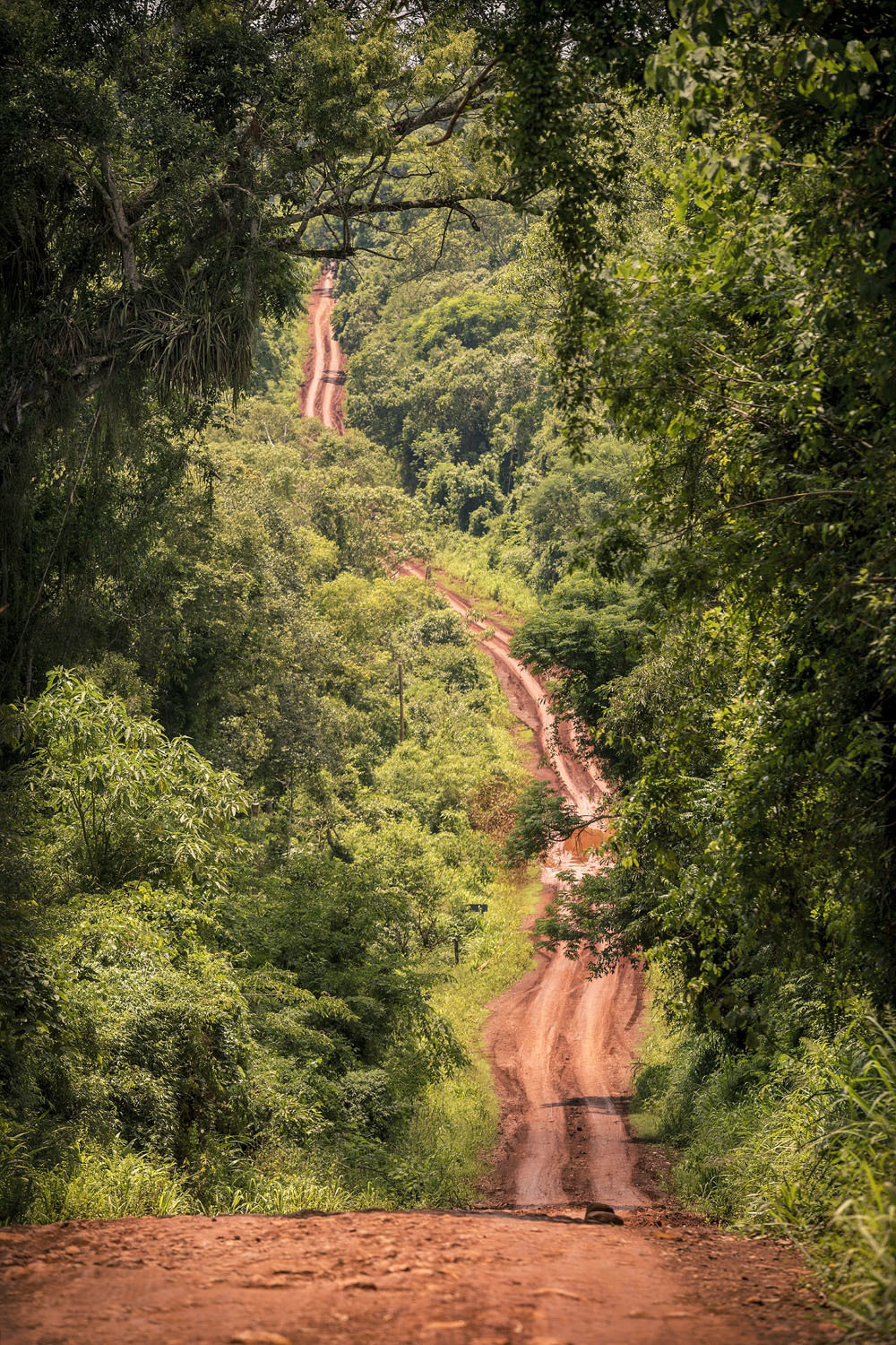 Тур по Аргентине: Тропическая Сельва, Водопады Игуасу и иезуитские миссии