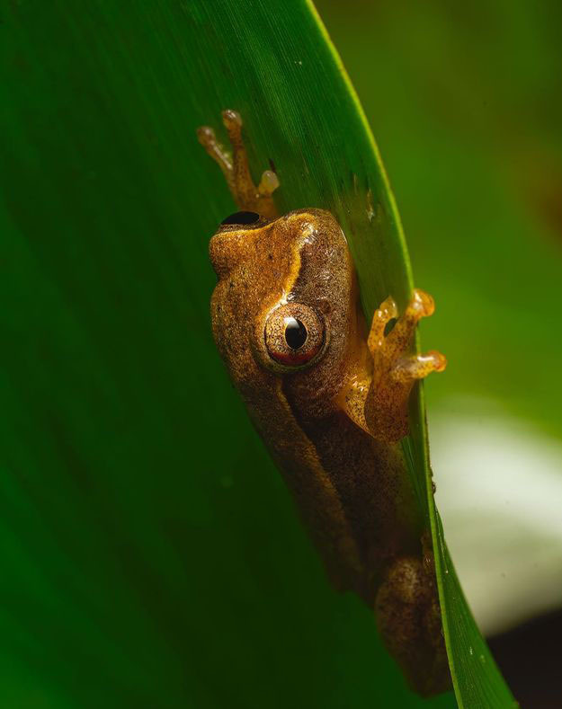 Тур по Аргентине: Тропическая Сельва, Водопады Игуасу и иезуитские миссии