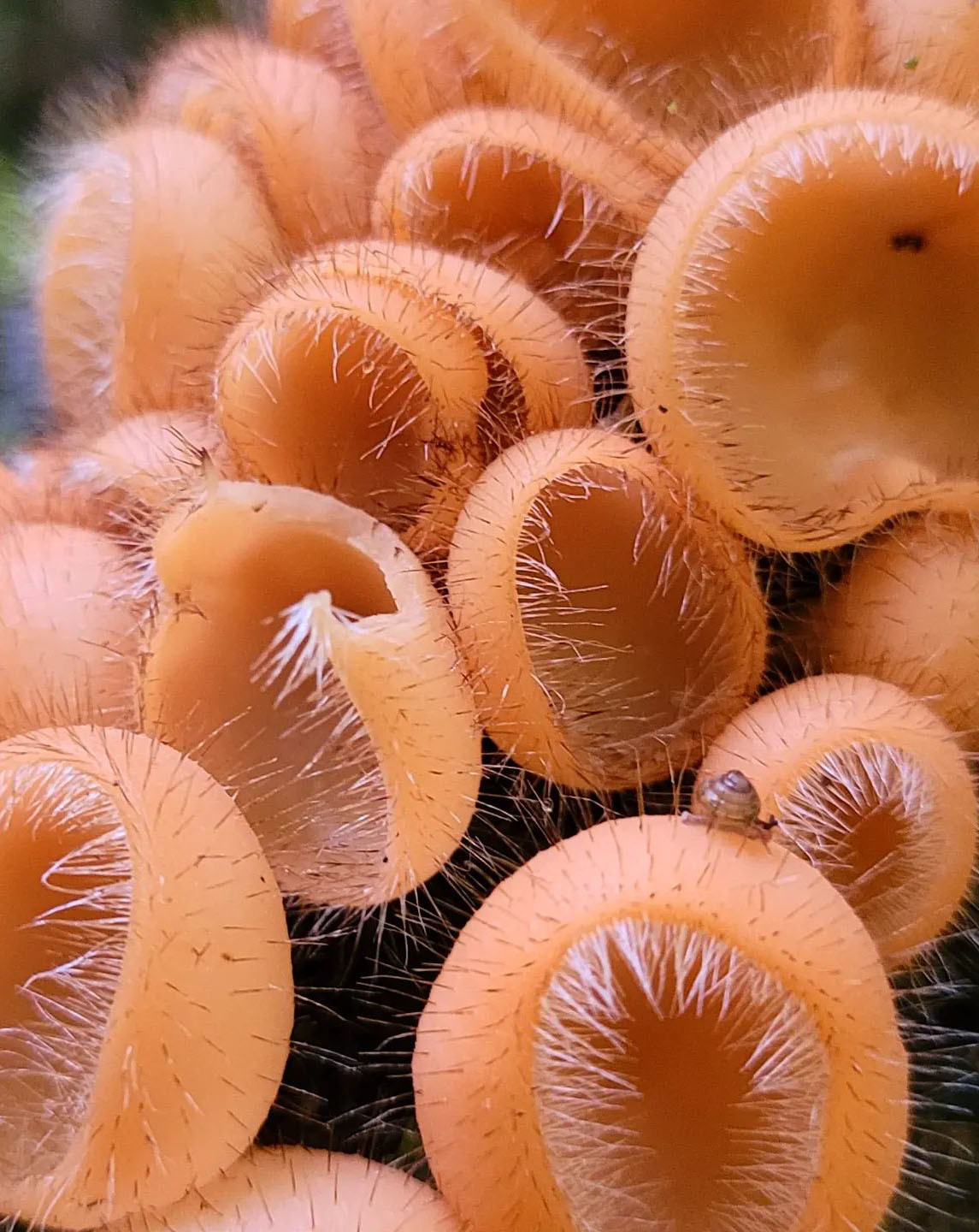 Тур по Аргентине: Тропическая Сельва, Водопады Игуасу и иезуитские миссии