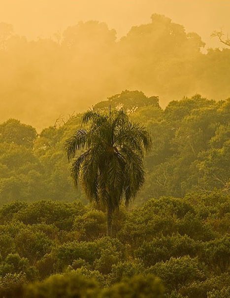 Тур по Аргентине: Тропическая Сельва, Водопады Игуасу и иезуитские миссии