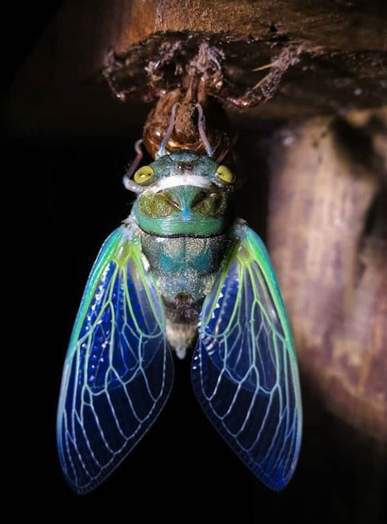 Тур по Аргентине: Тропическая Сельва, Водопады Игуасу и иезуитские миссии