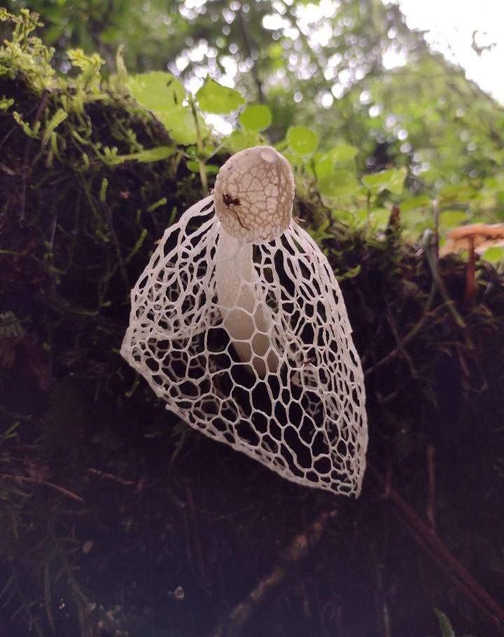 Тур по Аргентине: Тропическая Сельва, Водопады Игуасу и иезуитские миссии