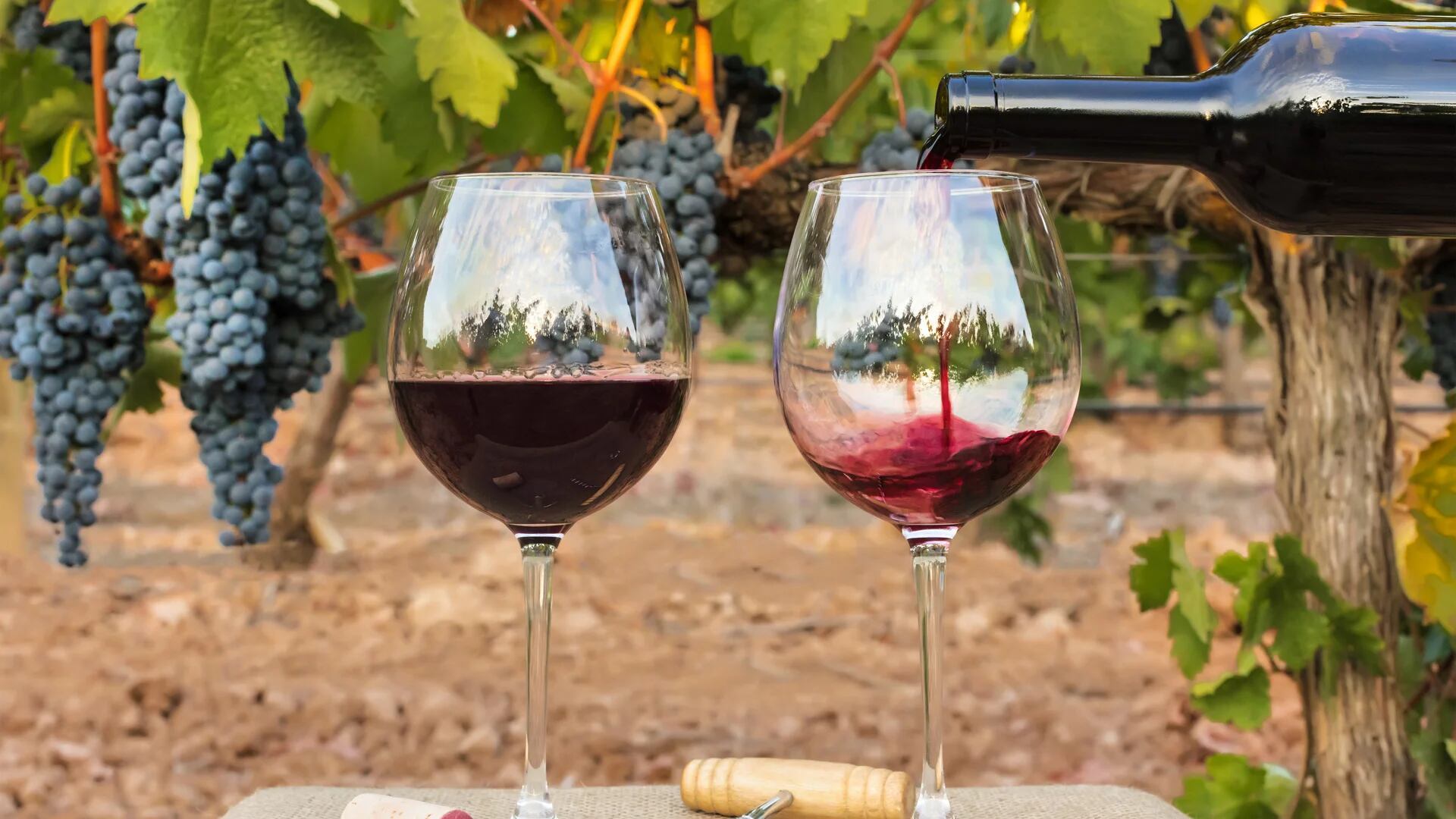 Винно-гастрономический тур в Аргентину