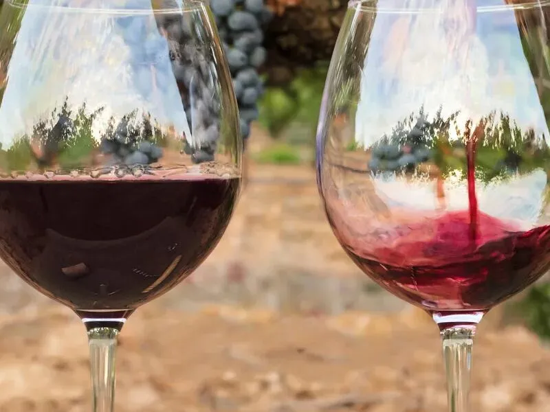 Винно-гастрономический тур в Аргентину