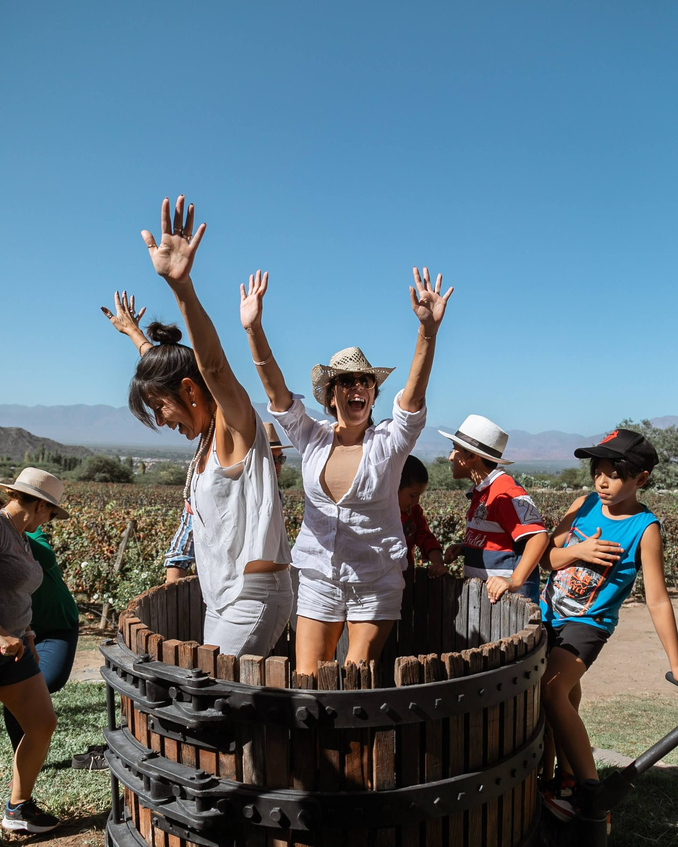 Винно-гастрономический тур в Аргентину