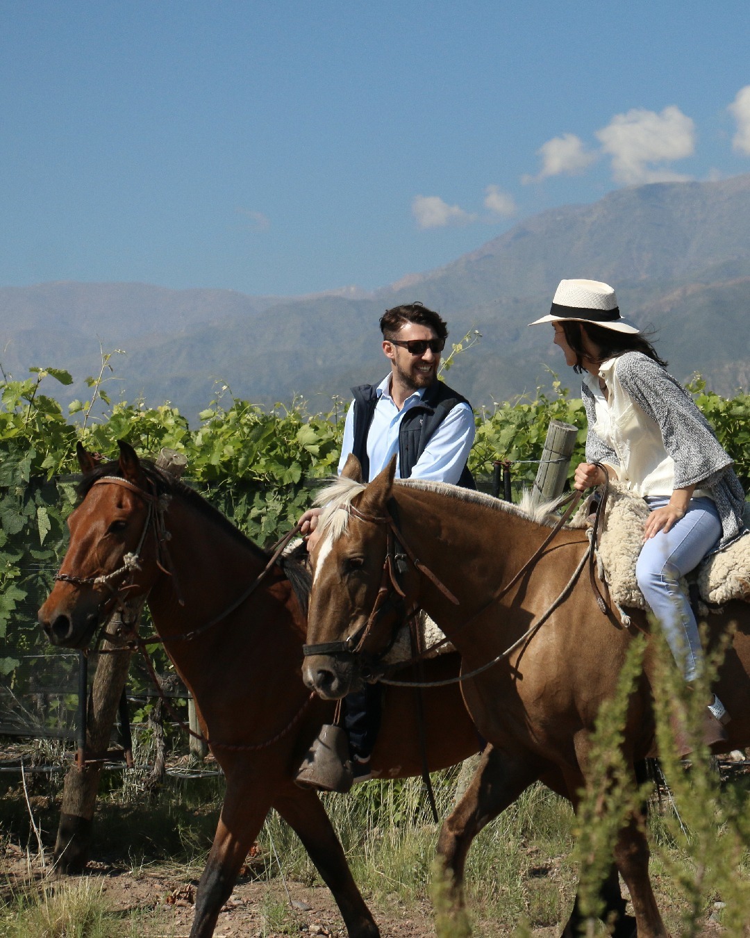 Винно-гастрономический тур в Аргентину