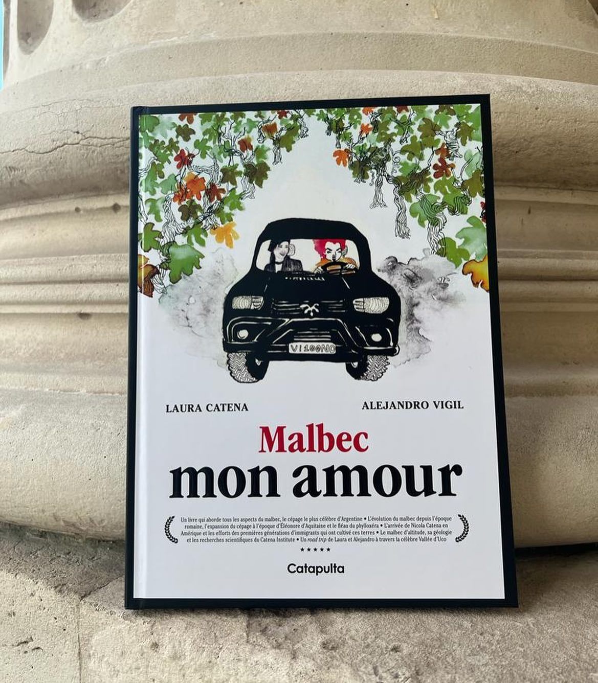 Винно-гастрономический тур в Аргентину