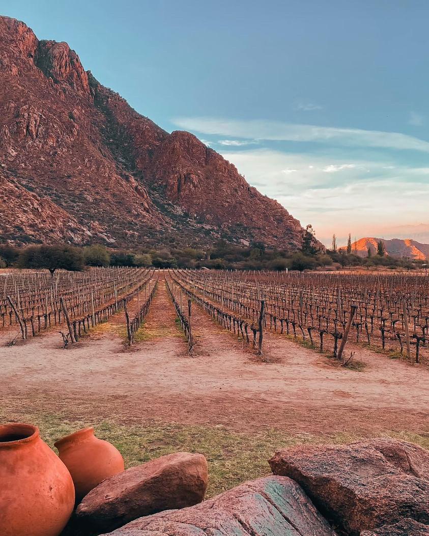 Винно-гастрономический тур в Аргентину