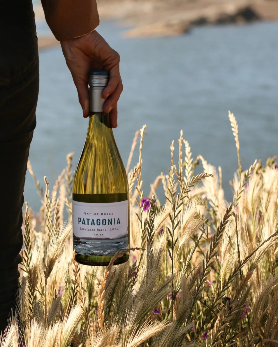 Винно-гастрономический тур в Аргентину