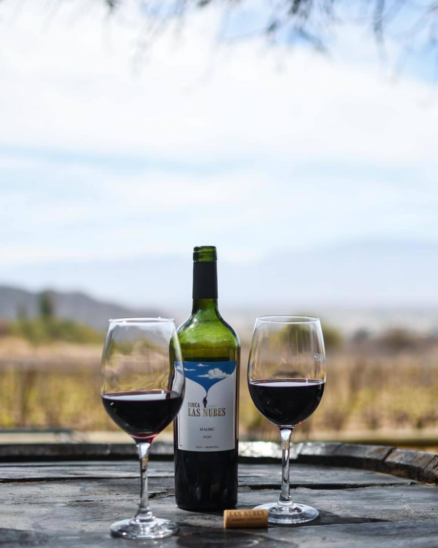 Винно-гастрономический тур в Аргентину