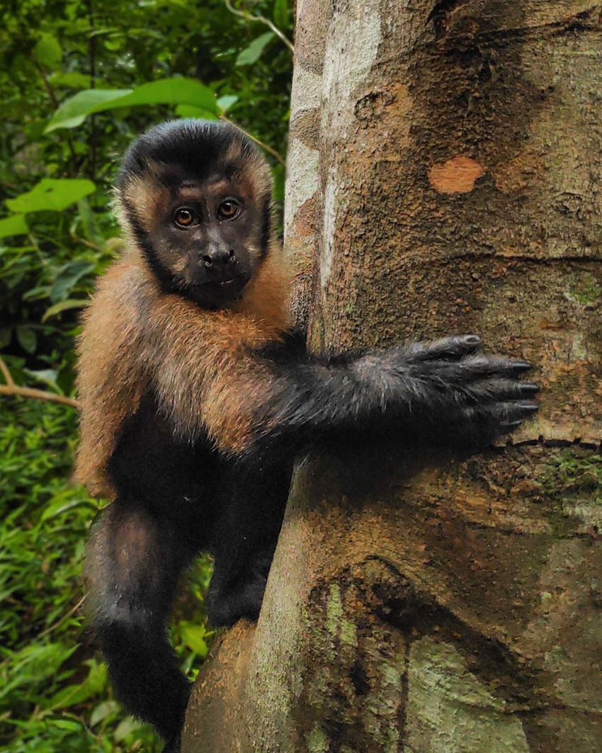 Остров Маргарита — Жемчужина Карибского моря