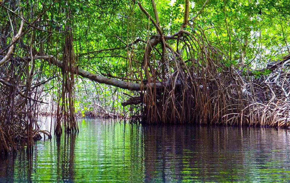 Остров Маргарита — Жемчужина Карибского моря