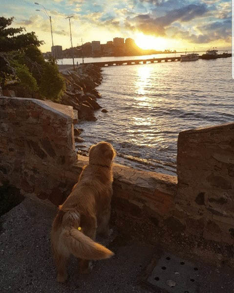 Остров Маргарита — Жемчужина Карибского моря