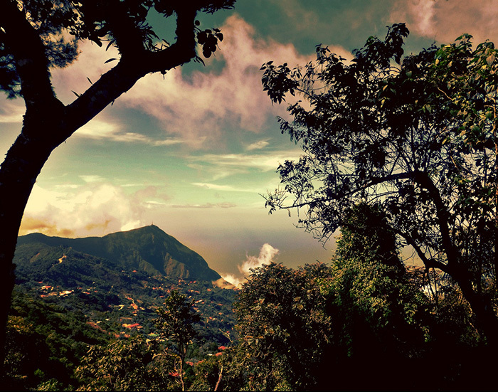 Доктор Готфрид Кнохе — Франкенштейн Карибского моря