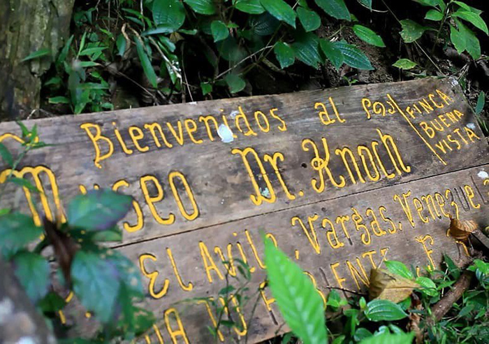 Доктор Готфрид Кнохе — Франкенштейн Карибского моря