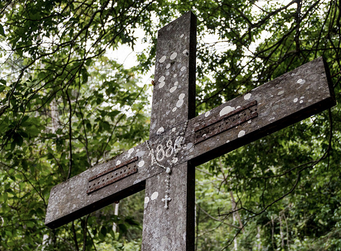 Доктор Готфрид Кнохе — Франкенштейн Карибского моря