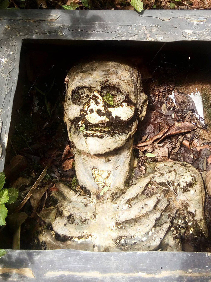 Доктор Готфрид Кнохе — Франкенштейн Карибского моря