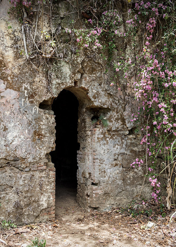 Доктор Готфрид Кнохе — Франкенштейн Карибского моря