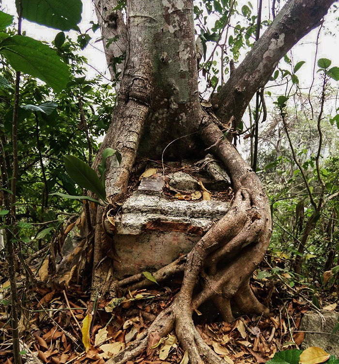 Доктор Готфрид Кнохе — Франкенштейн Карибского моря