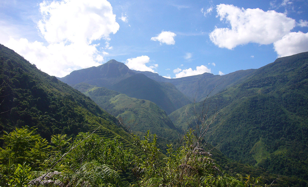 9 самых интересных пещер Венесуэлы