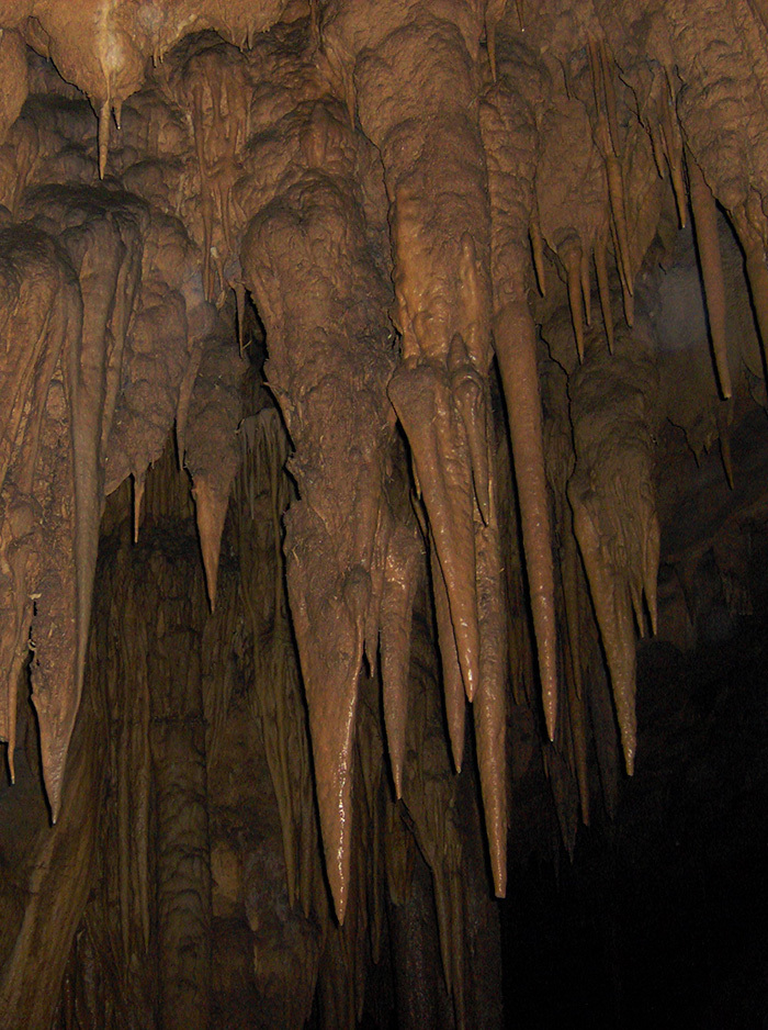 9 самых интересных пещер Венесуэлы