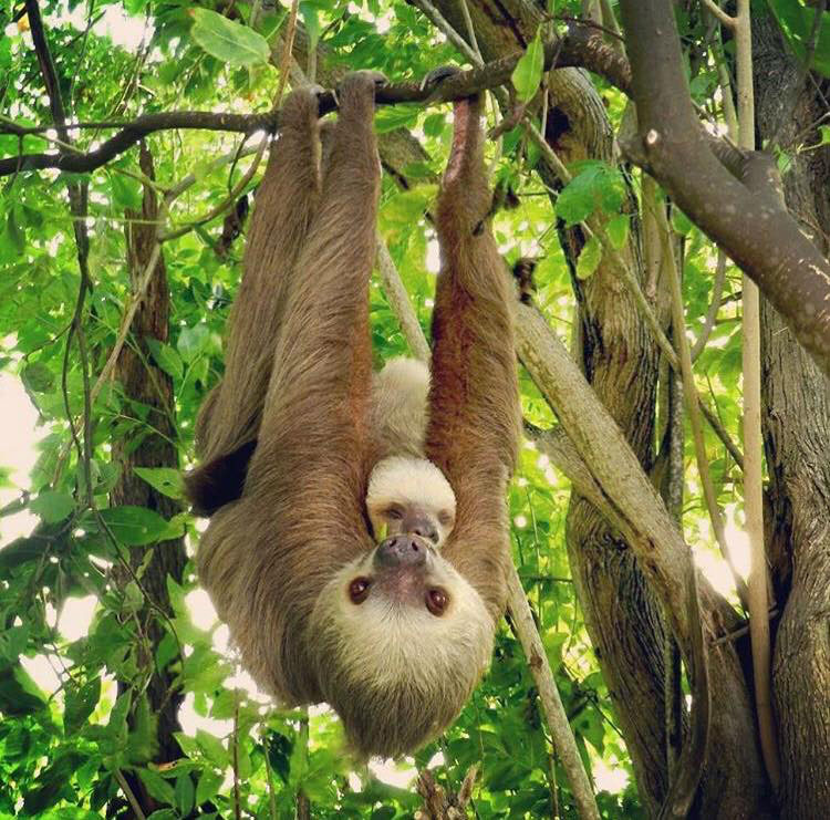 ТОП-12 достопримечательностей Панамы