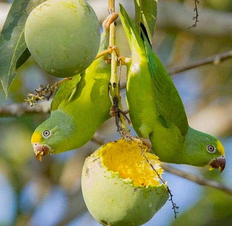 ТОП-12 достопримечательностей Панамы