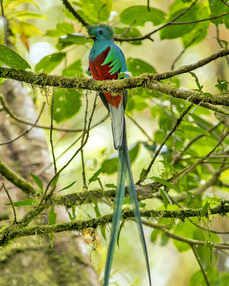 ТОП-12 достопримечательностей Панамы