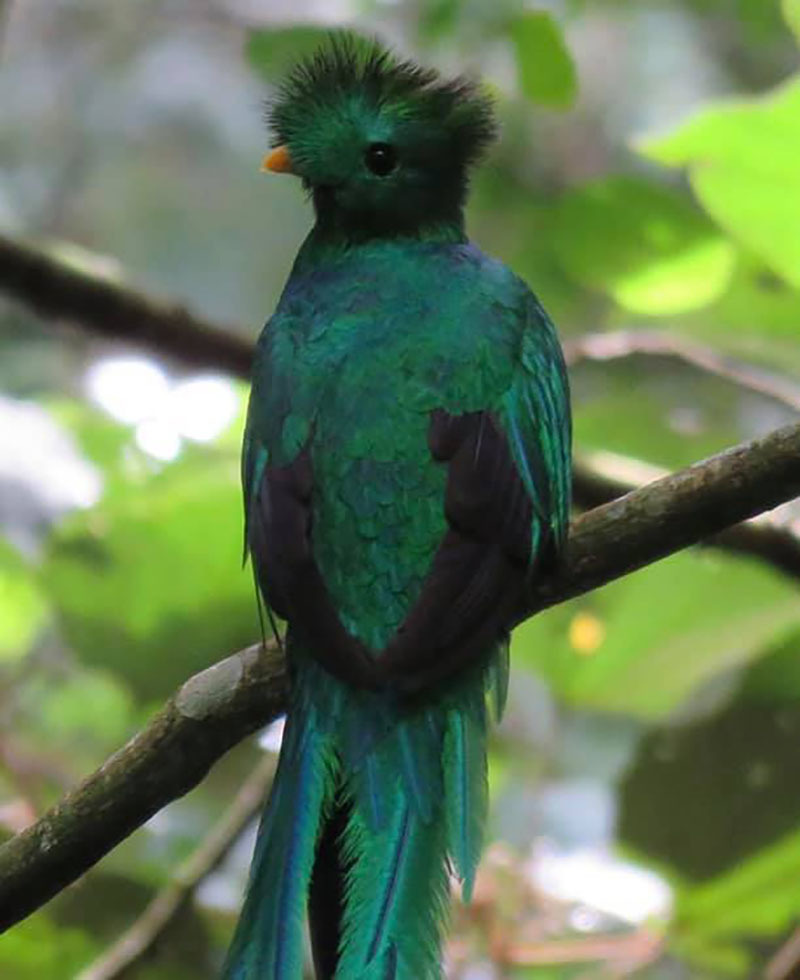 ТОП-12 достопримечательностей Панамы